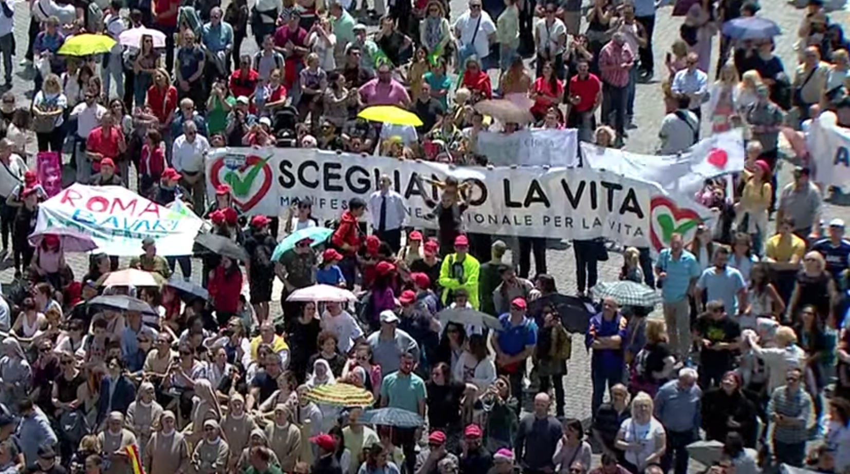 Manifestazione per la Vita: «Grati a Papa Francesco per saluto durante Regina Caeli» 1